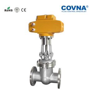 Motorized flange gate valve (3)